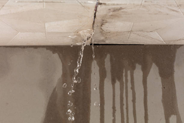 Professional Flood Damage Cleanup technician working in Monroe, WA